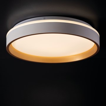 LED lubinis šviestuvas SOLN LED/17,5W/230V diametras 38 cm balta/auksas