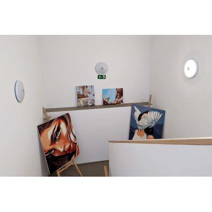 LED lubinis šviestuvas su judesio ir sutemos jutikliu, LED/20W/230V, skersmuo 29 cm, baltas