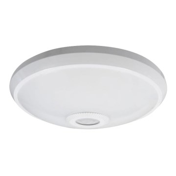 LED lubinis šviestuvas su judesio ir sutemų jutikliu LED/12W/230V