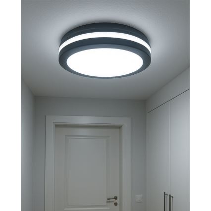 LED lubų šviestuvas su judesio jutikliu LED/20W/230V 3000/4000/6500K skersmuo 230 cm IP54 antracitas