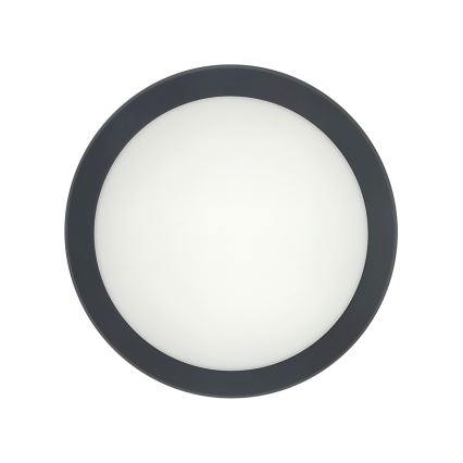 LED lubų šviestuvas su judesio jutikliu LED/20W/230V 3000/4000/6500K skersmuo 230 cm IP54 antracitas