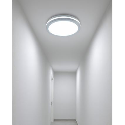 LED vonios lubinis šviestuvas su judesio jutikliu LED/20W/230V 3000/4000/6500K skersmuo 23 cm IP54 baltas