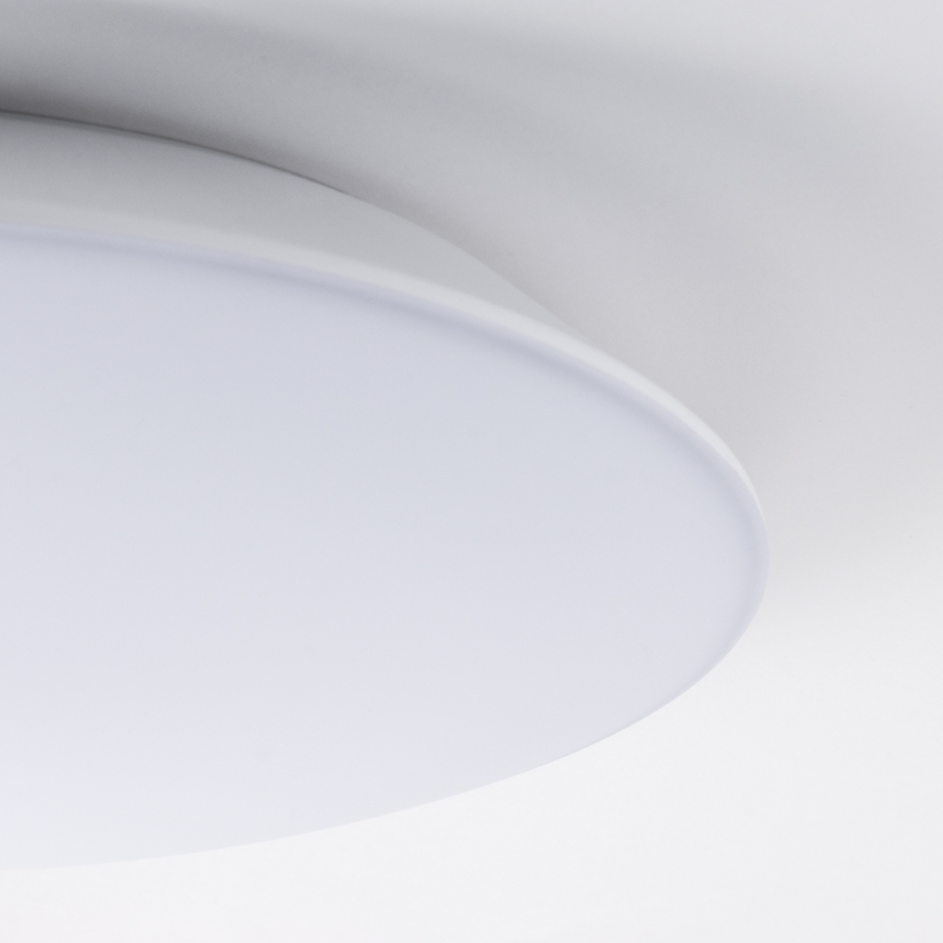 LED lubinis šviestuvas su jutikliu AVESTA LED/12W/230V 4000K IP54