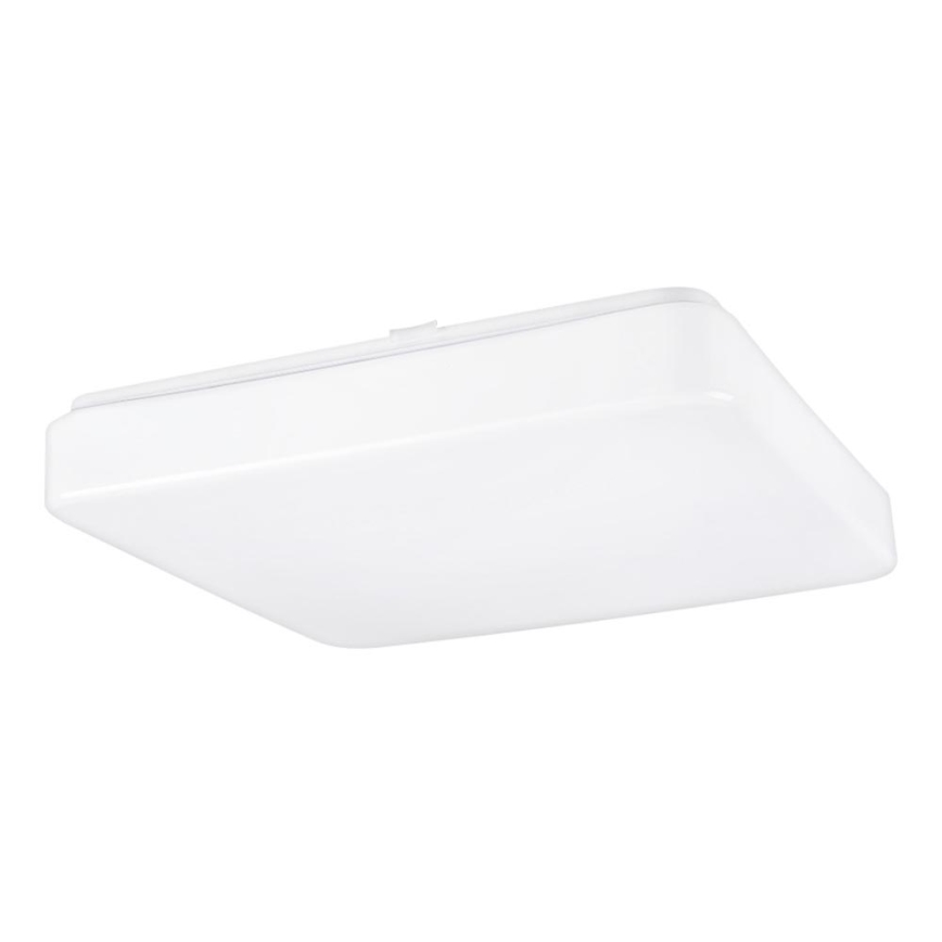 LED lubinis šviestuvas su jutikliu DAISY NAL LED/18W/230V 4000K