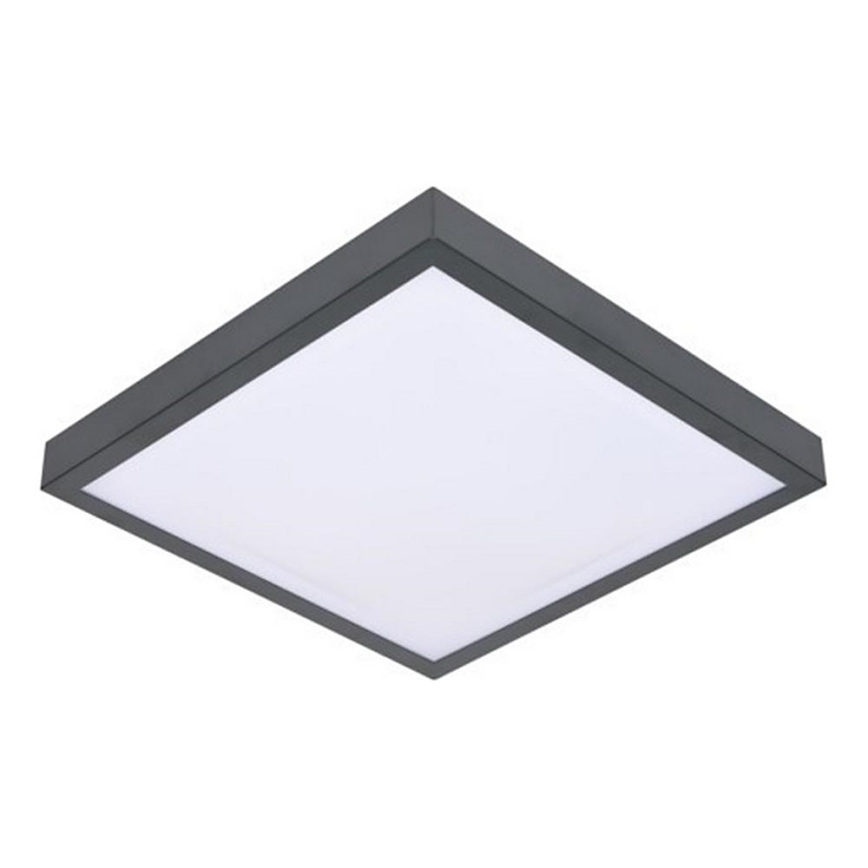 LED lubinis šviestuvas su jutikliu VITALI LED/24W/230V 4000K
