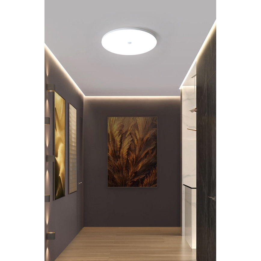 LED lubinis šviestuvas su sutemų ir judesio jutikliu MORETTI LED/24W/230V, skersmuo 30 cm, IP40, 6500K