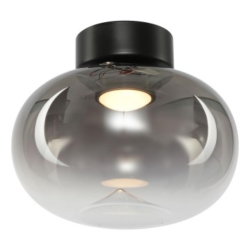 LED lubinis šviestuvas VASO LED/4W/230V diametras 18 cm dūminis