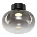 LED lubinis šviestuvas VASO LED/4W/230V diametras 18 cm juoda/dūminis