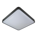 LED lubinis šviestuvas WILTON LED/24W/230V 37,5x37,5 cm antracitas