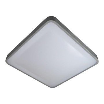 LED lubinis šviestuvas WILTON LED/24W/230V 37,5x37,5 cm pilka