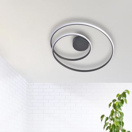 LED lubinis šviestuvas ZEFIRA LED/40W/230V 4000K diametras 50 cm antracitas