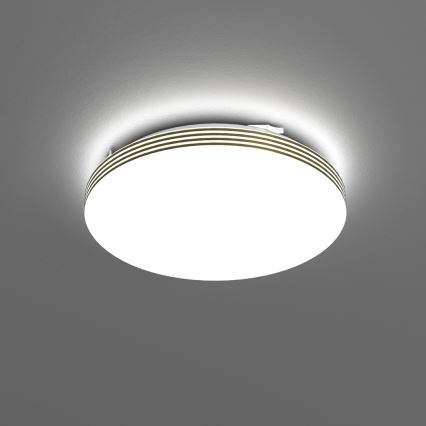 LED lubinis vonios šviestuvas BEVER LED/10W/230V 4000K diametras 26 cm IP44