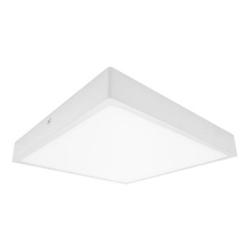 LED lubinis vonios šviestuvas EGON LED/16W/230V IP44 4000K