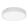 LED lubinis vonios šviestuvas EGON LED/30W/230V IP44 3000K