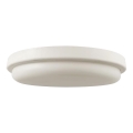 LED lubinis vonios šviestuvas LED/24W/230V 6500K IP54 diametras 24 cm
