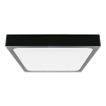 LED lubinis vonios šviestuvas LED/30W/230V 3000K IP44 42x42 cm juoda