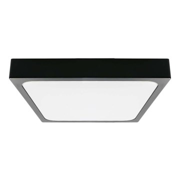 LED lubinis vonios šviestuvas LED/30W/230V 3000K IP44 42x42 cm juoda