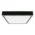 LED lubinis vonios šviestuvas LED/30W/230V 4000K IP44 42x42 cm juoda