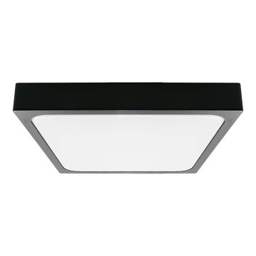 LED lubinis vonios šviestuvas LED/30W/230V 4000K IP44 42x42 cm juoda