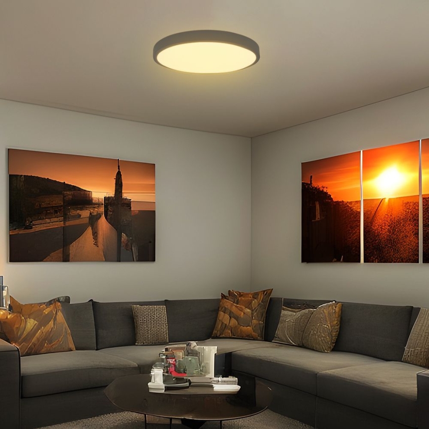 LED lubinis vonios šviestuvas SAMSUNG CHIP LED/36W/230V IP44 3000K diametras 35 cm juoda