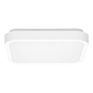 LED lubinis vonios šviestuvas LUKY LED/12W/230V 4000K 25x25 cm IP44 balta