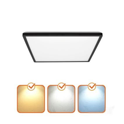 LED lubinis vonios šviestuvas NIVERA LED/12W/230V IP54 3000/4000/6000K 22,5x22,5 cm juoda