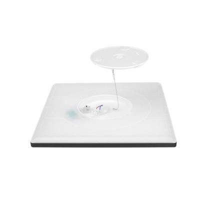 LED lubinis vonios šviestuvas NIVERA LED/12W/230V IP54 3000/4000/6000K 22,5x22,5 cm juoda