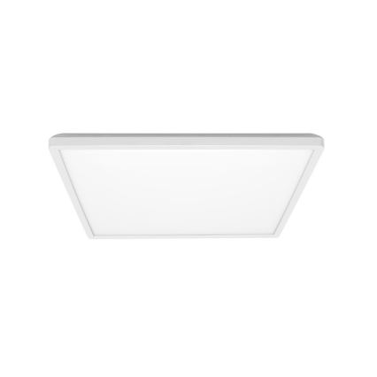 LED lubinis vonios šviestuvas NIVERA LED/24W/230V IP54 3000/4000/6000K 30x30 cm balta