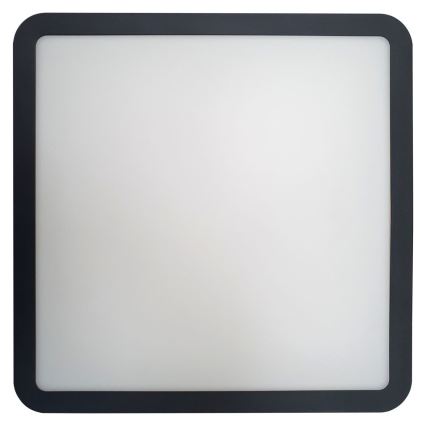 LED lubinis vonios šviestuvas su jutikliu ELLÉ LED/24W/230V 3000/4000/6500K 26x26 cm IP54 antracitas