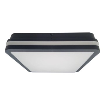 LED lubinis vonios šviestuvas su jutikliu ELLÉ LED/24W/230V 3000/4000/6500K 26x26 cm IP54 antracitas