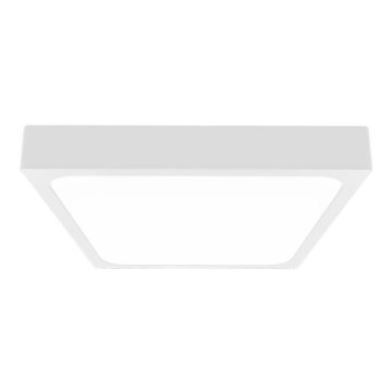 LED lubinis vonios šviestuvas su jutikliu LED/24W/230V 4000K IP44 29,5x29,5 cm balta