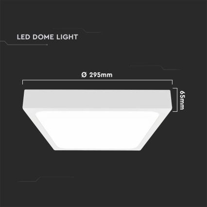 LED lubinis vonios šviestuvas su jutikliu LED/24W/230V 4000K IP44 29,5x29,5 cm balta