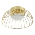 LED lubų šviestuvas BETSY LED/12W/230V 25 cm, auksinis