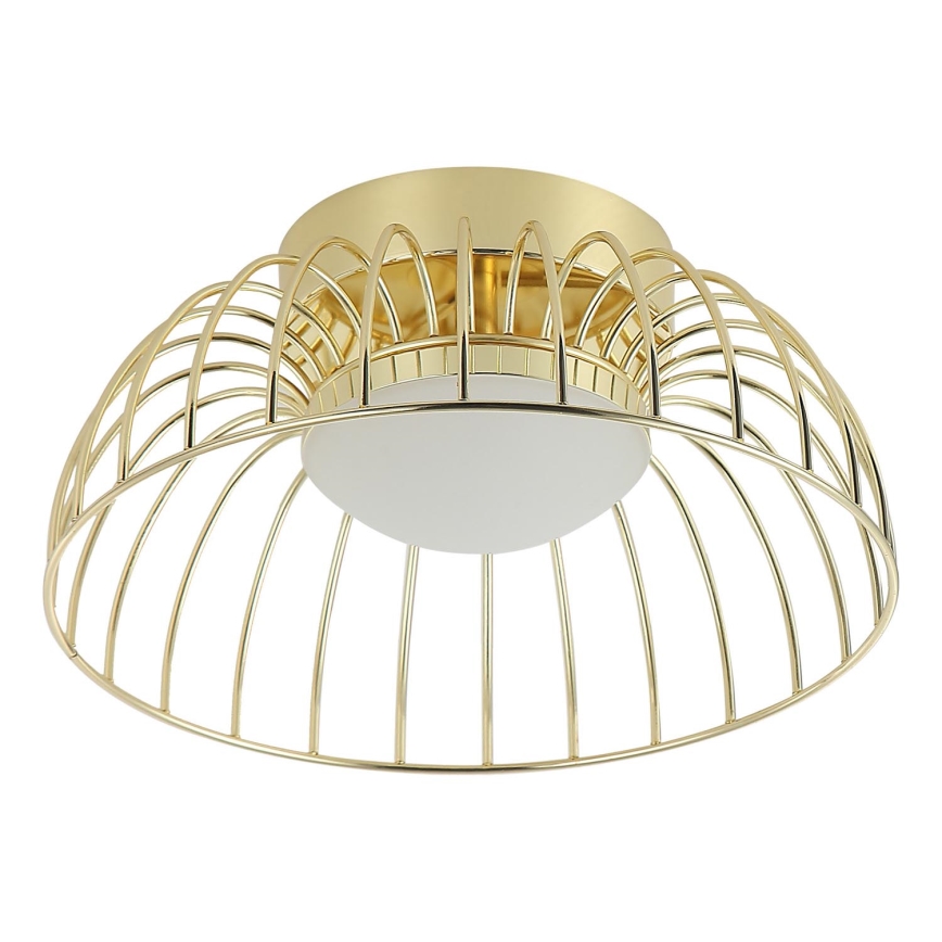 LED lubų šviestuvas BETSY LED/12W/230V 25 cm, auksinis