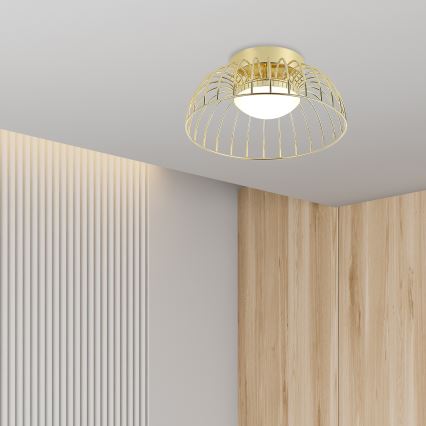 LED lubų šviestuvas BETSY LED/12W/230V 25 cm, auksinis