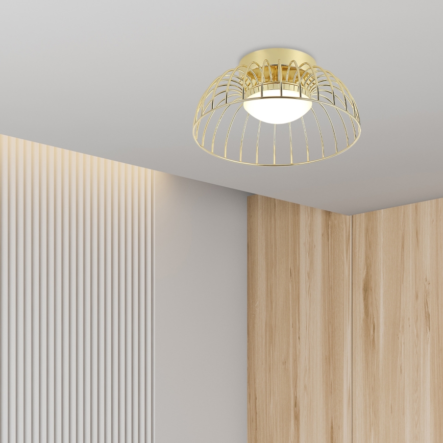 LED lubų šviestuvas BETSY LED/12W/230V 25 cm, auksinis