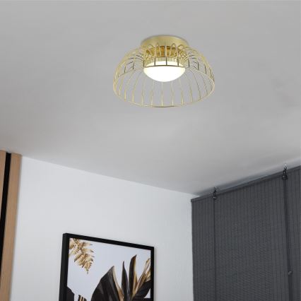 LED lubų šviestuvas BETSY LED/12W/230V 25 cm, auksinis