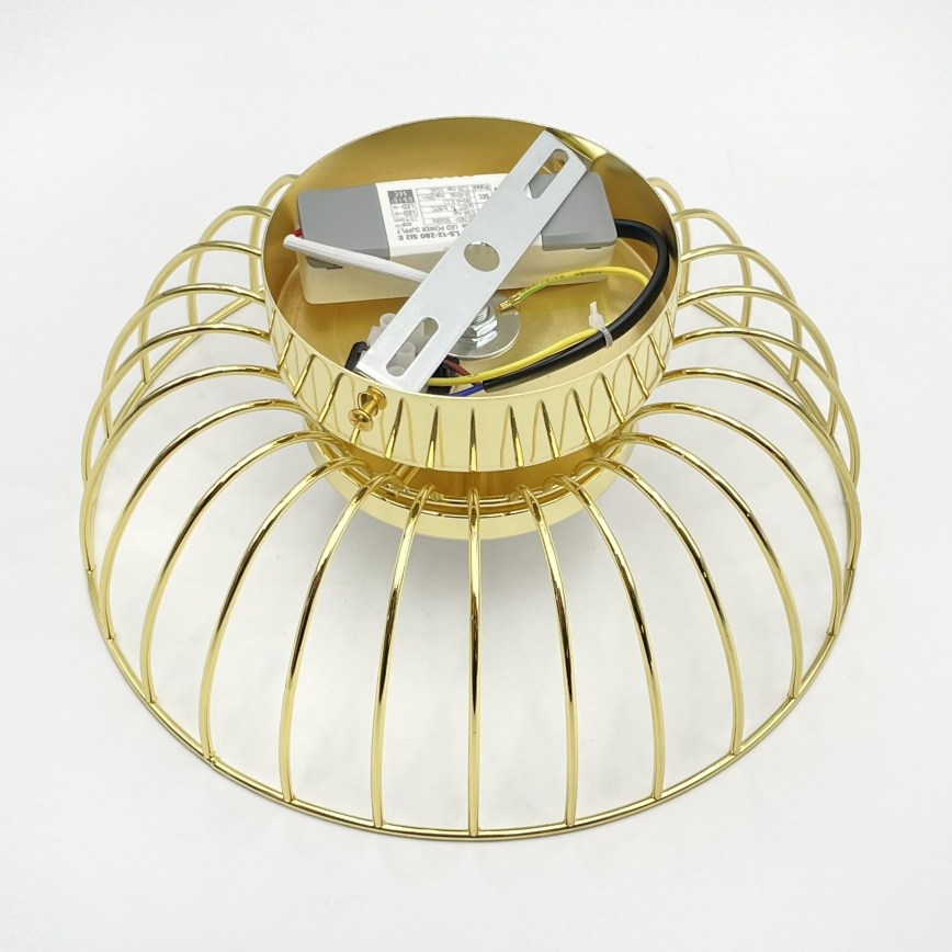 LED lubų šviestuvas BETSY LED/12W/230V 25 cm, auksinis