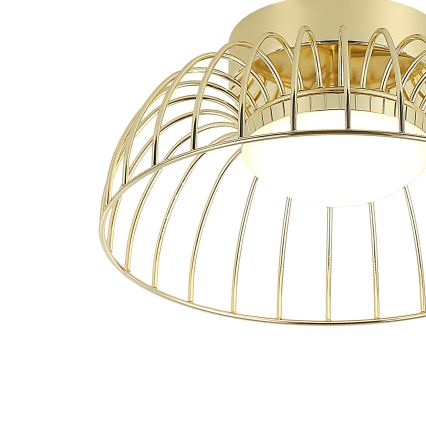 LED lubų šviestuvas BETSY LED/12W/230V 25 cm, auksinis
