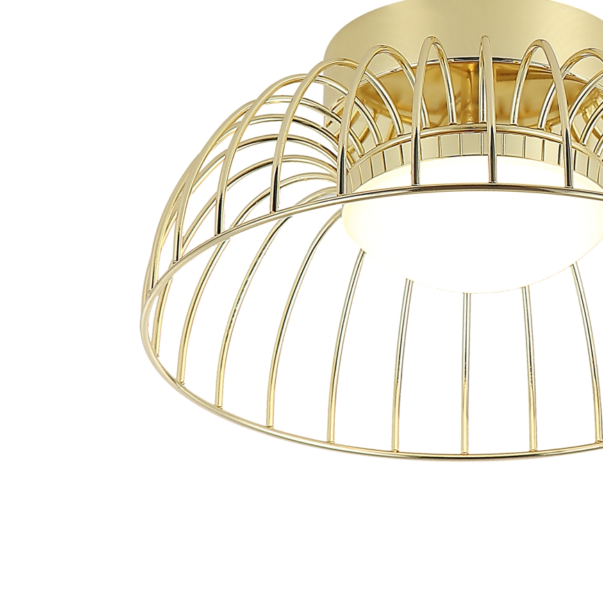 LED lubų šviestuvas BETSY LED/12W/230V 25 cm, auksinis