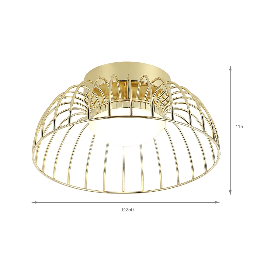 LED lubų šviestuvas BETSY LED/12W/230V 25 cm, auksinis