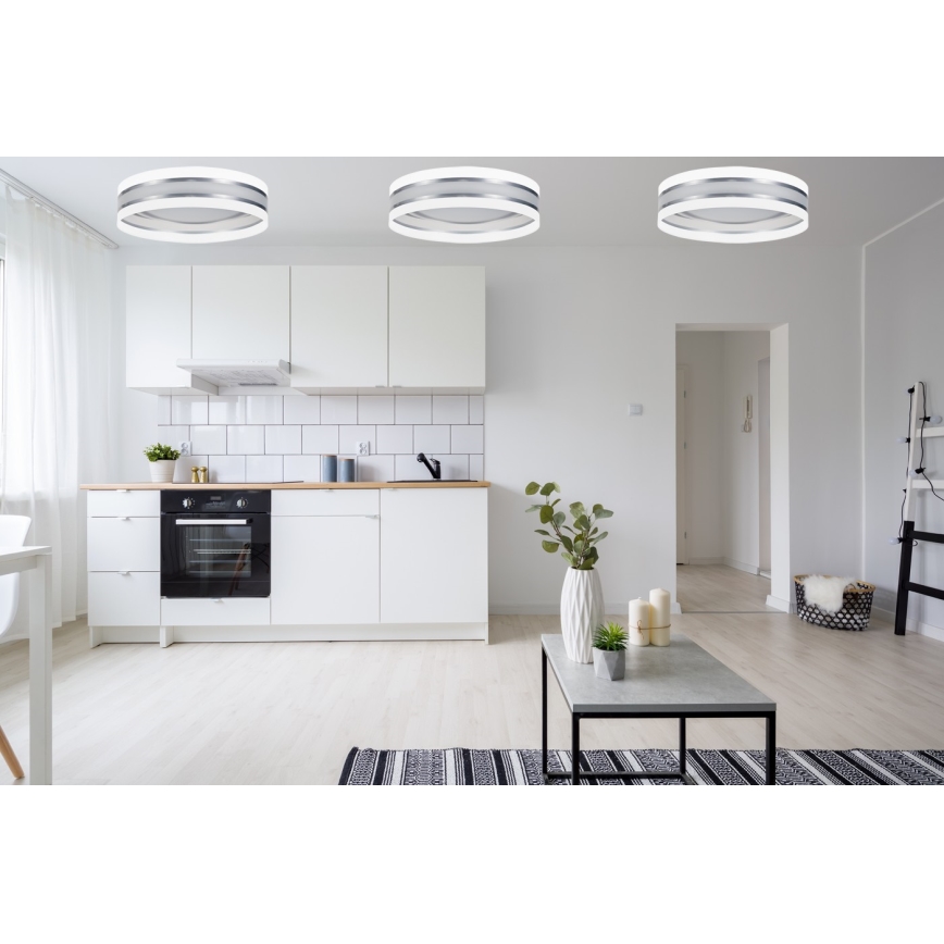 LED Lubų šviestuvas  CORAL 1xLED/24W/230V balta / sidabrinė