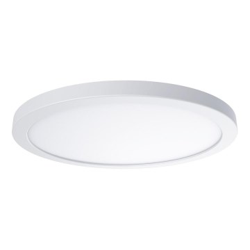 LED lubų šviestuvas EVORA LED/24W/230V 3000/4000/6000K skersmuo 30 cm baltas