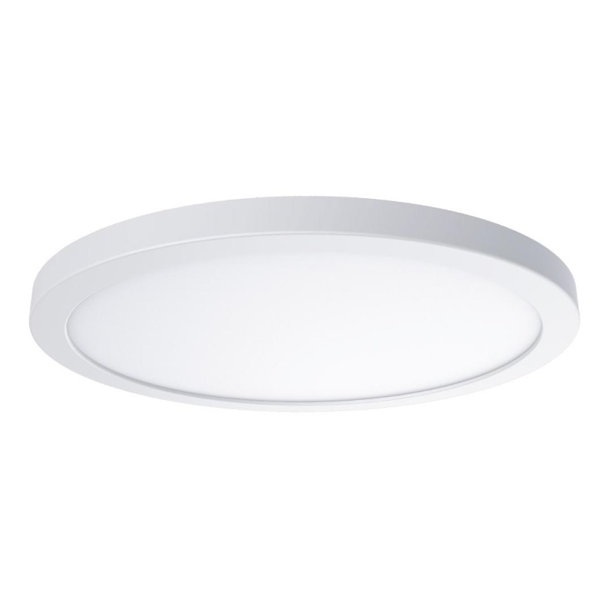 LED lubų šviestuvas EVORA LED/24W/230V 3000/4000/6000K skersmuo 30 cm baltas