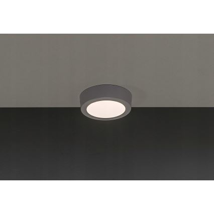 LED Lubų šviestuvas GERRIT LED / 6W / 230V 3000K