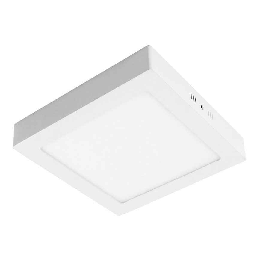 LED lubų šviestuvas GERRY LED / 24W / 230V 3000K