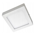 LED lubų šviestuvas GERRY LED / 6W / 230V 3500K