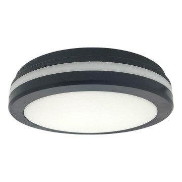 LED lubų šviestuvas su judesio jutikliu LED/20W/230V 3000/4000/6500K skersmuo 230 cm IP54 antracitas