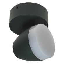 LED lubų šviestuvas SURMUR LED / 6W / 230V žalia