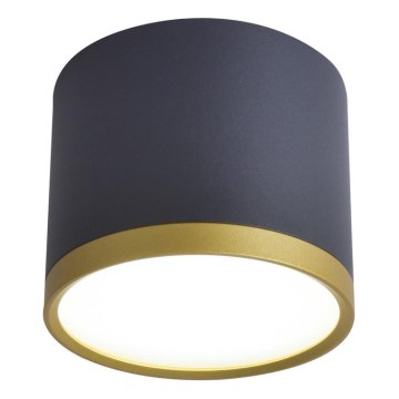 LED lubų šviestuvas TUBA LED/9W/230V juodas/auksinis